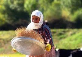 طرح توانمندسازی زنان روستایی لرستان برای کاهش فقر و اشتغالزایی طرح توانمندسازی زنان روستایی لرستان برای کاهش فقر و اشتغالزایی