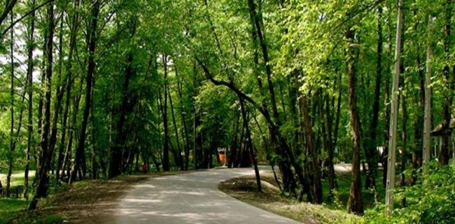 آغاز پروژه احداث پارک جنگلی در شهر سمنان آغاز پروژه احداث پارک جنگلی در شهر سمنان