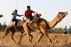 بورسیه شترسواری ایران سوخت!