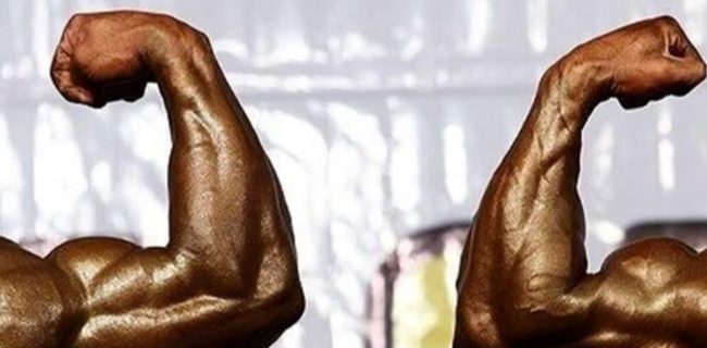 دعوت سه خوزستانی به اردوی بازبینی تیم ملی پرورش اندام
