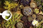 رشد دو برابری کشت گیاهان دارویی در گیلان؛ تمرکز بر گونههای مقاوم به خشکی